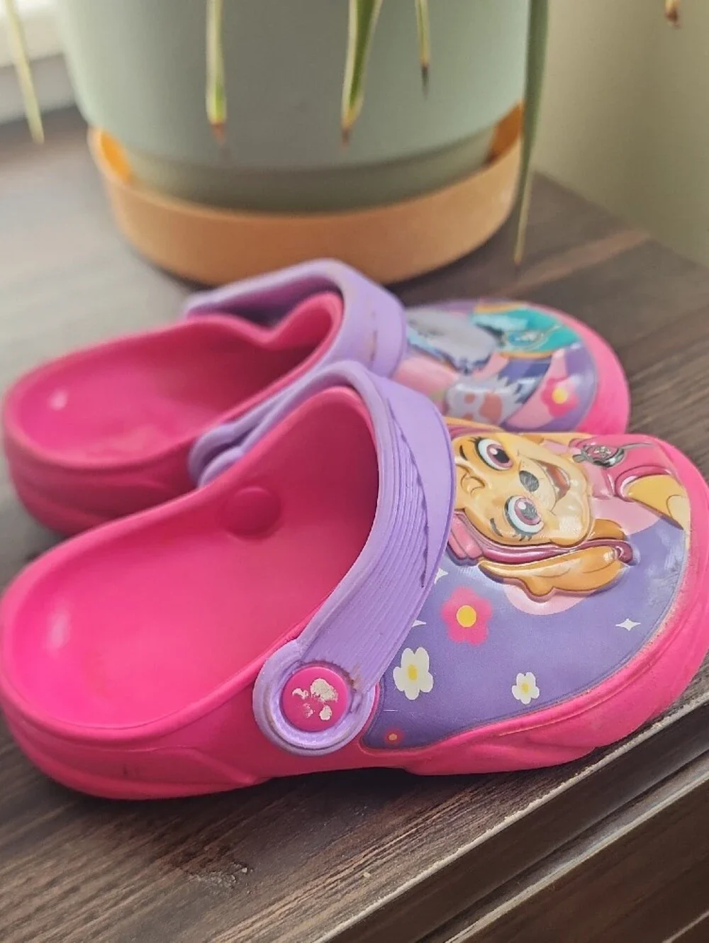 Paw Patrol Pink & Purple Kids Clogs - Skye & Everest